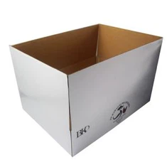 Caixas de entrega de cartón